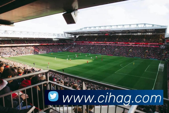 App Interface Preview